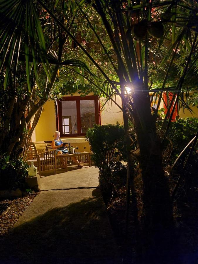 Number15 Guesthouse Каркассон Экстерьер фото